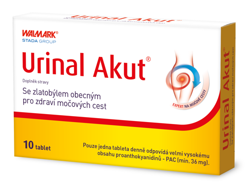Urinal Akut